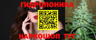 индика Анапа
