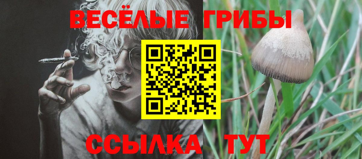 Дзержинск  Псилоцибиновые грибы мицелий  Вход с VPN 