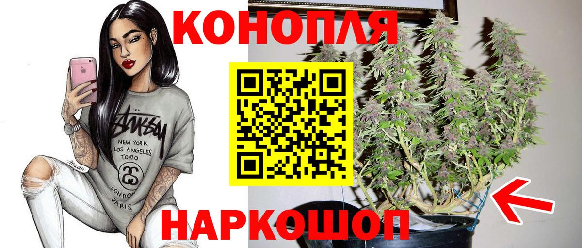 Бошки марихуана семена  Вход с VPN  Дзержинск  Каннабис индика 